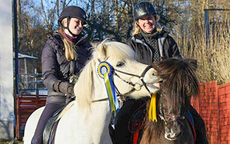 Ridskola på islandshäst och lyxiga lusitanos